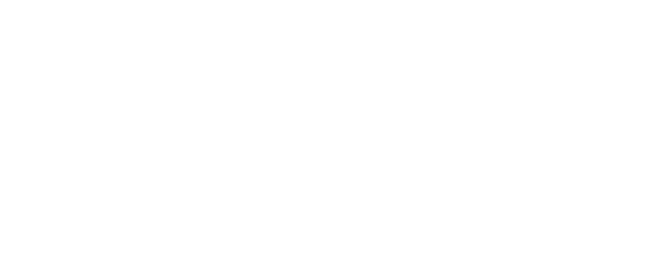 image 41
