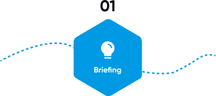 Briefing